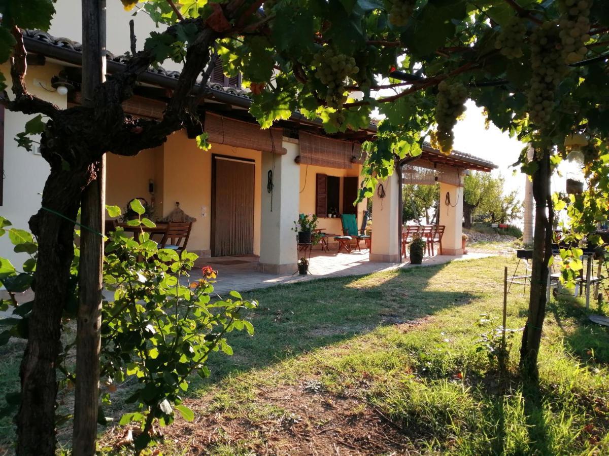 B&B Conca Del Pretore Loreto Aprutino Ngoại thất bức ảnh