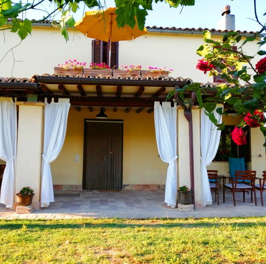 B&B Conca Del Pretore Loreto Aprutino Ngoại thất bức ảnh